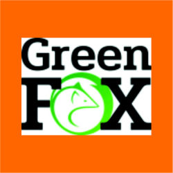 green fox żmigród